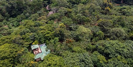 Bugoma Jungle Lodge
