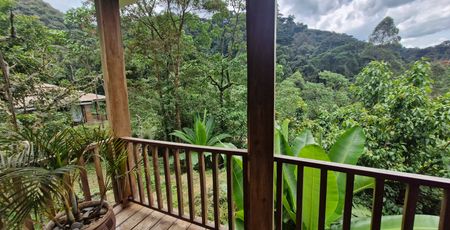 Four Gorillas Lodge