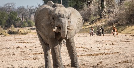 Luxe reizen Afrika – Boek hier een luxe safari | Matoke Tours