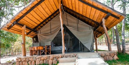 Livezi Bushcamp
