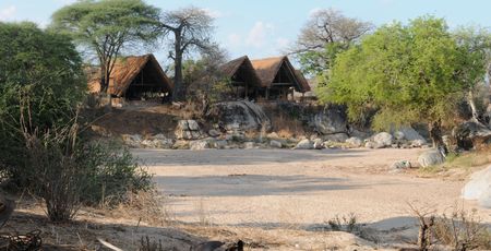 Mwagusi Camp
