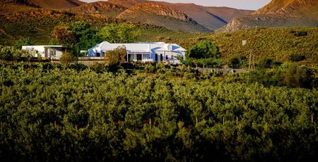 Hotels Zuid-Afrika - De mooiste lodges & accommodaties | Matoke Tours