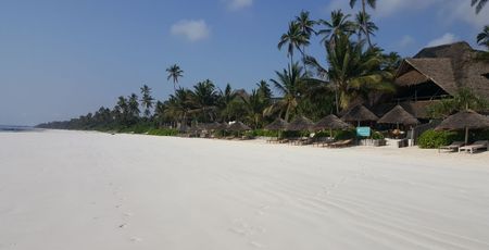 Hotels Zanzibar - De mooiste lodges & accommodaties | Matoke Tours