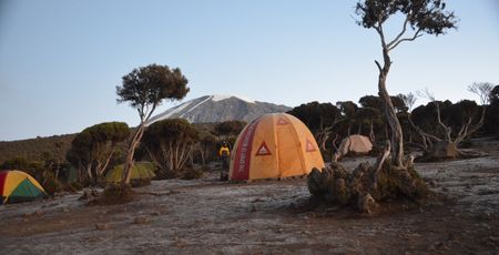 Kilimanjaro – Mweka Camp 3100 meter