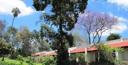 Hotels Tanzania - De mooiste lodges & accommodaties | Matoke Tours