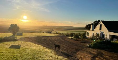 Hotels Zuid-Afrika - De mooiste lodges & accommodaties | Matoke Tours