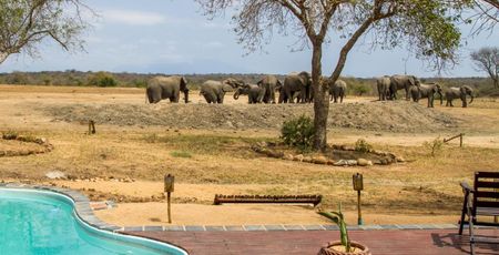 Tangala Safari Camp