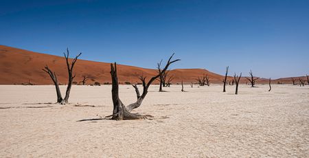 Namibië Archieven » Matoke