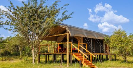 Aruba Mara Camp