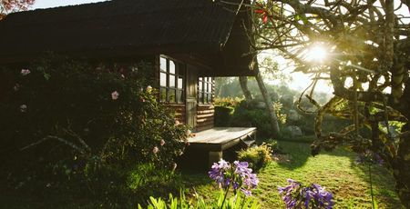 Mufindi Highland Lodge