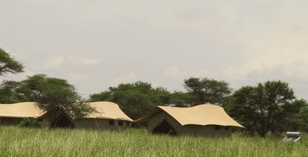 Pamoja Migration Camp Ndutu