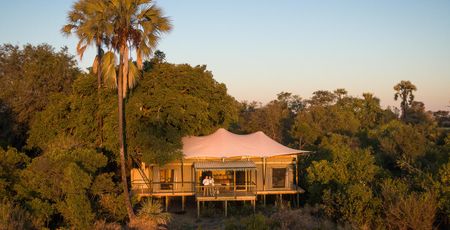Tubu Tree Camp