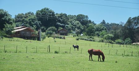 Hotels Zuid-Afrika - De mooiste lodges & accommodaties | Matoke Tours