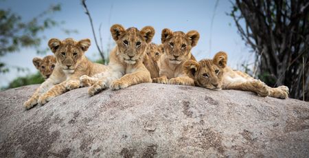 Huwelijksreis Tanzania en Zanzibar | Matoke Tours