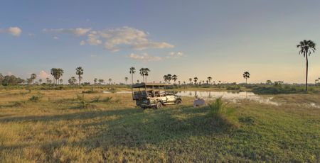 Wild Botswana & Bruisend Kaapstad