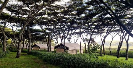 Mysigio Camp