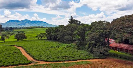 safari lodges Malawi - hotels en accommodaties in Malawi