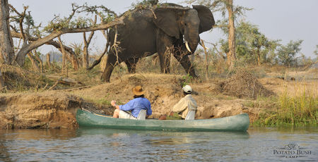 Safari reizen Afrika – Uit liefde voor Afrika | Matoke Tours