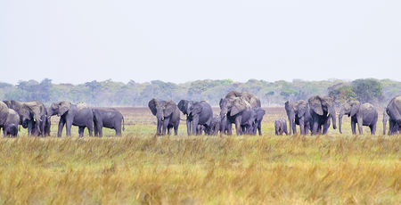 Zimbabwe Archieven » Matoke