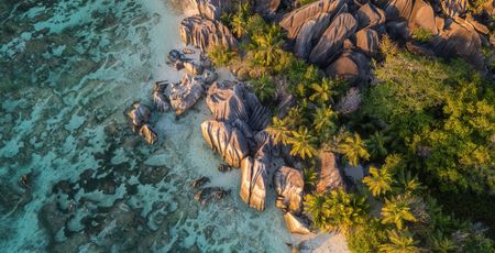 Dit moet je weten over Malaria in Zuid-Afrika | Matoke Tours