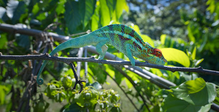 Familiereis Madagascar meivakantie