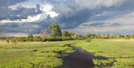 Botswana Archieven » Matoke
