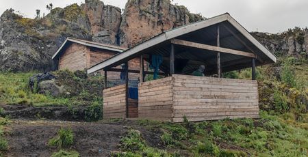 Mount Elgon – Dubi Camp 3600 meter