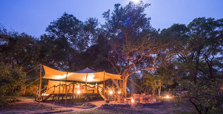 Fig Tree Bush Camp