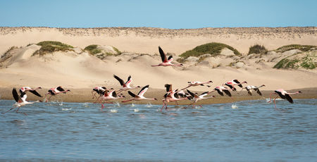 Namibië Archieven » Matoke
