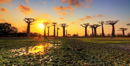 Madagascar Archieven » Matoke