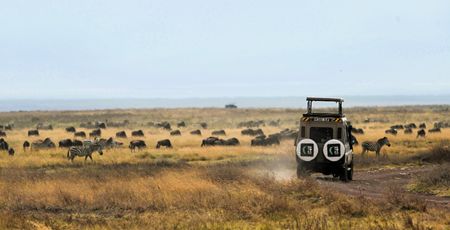 Fotograaf: Jelger van Weydom
Noteer naam wanneer je deze foto gebruikt.
