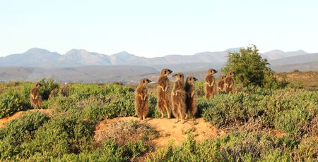 Zuid Afrika Archieven » Matoke Tours