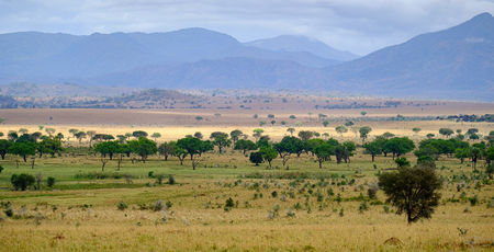 Oeganda reis - reizen Oeganda - Matoke Tours - Uganda Vakantie