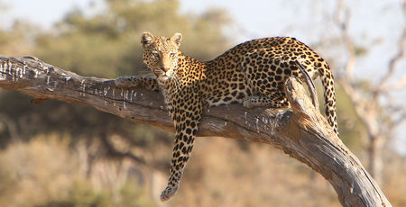 Namibië Archieven » Matoke