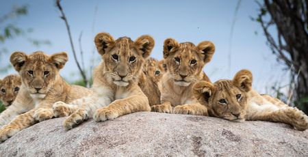 Familiereizen Afrika – Naar Afrika met kinderen | Matoke Tours