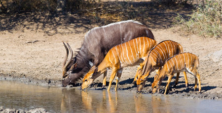 Malawi Archieven » Matoke