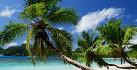 Seychellen Archieven » Matoke