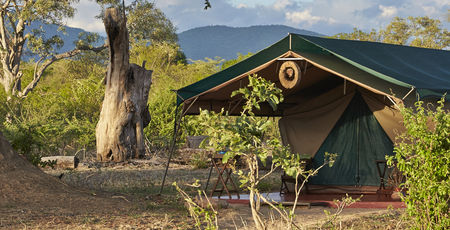 Mdonya Old River Camp
