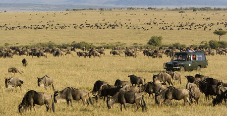 Kenia Archieven » Matoke