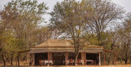 Ndutu Under Canvas