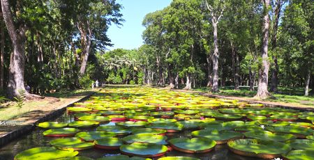 Mauritius en Rodrigues