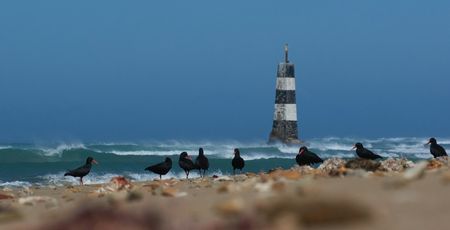 Zuid Afrika Archieven » Matoke Tours