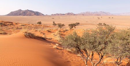 Namibië Archieven » Matoke