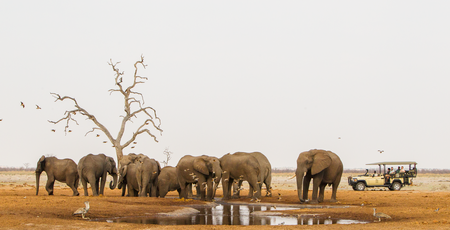 Botswana Archieven » Matoke