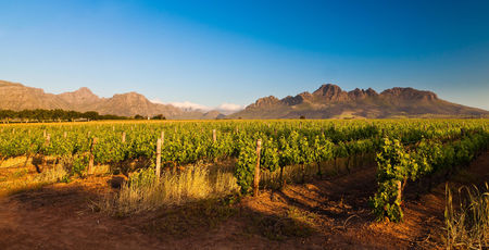 Zuid Afrika Archieven » Matoke