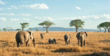 Tanzania Archieven » Matoke