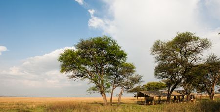 Nomad Serengeti Safari Camp Ndutu