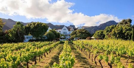 Hotels Zuid-Afrika - De mooiste lodges & accommodaties | Matoke Tours