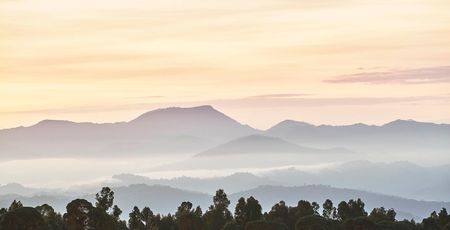 Rwanda reizen - Rwanda rondreis - vakantie reis Rwanda