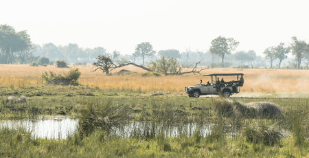 Self-drive Zambezi & Okavango